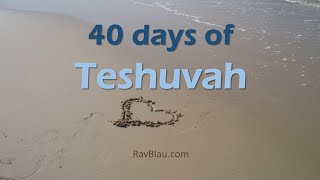 40 days of Teshuvah  No 6  The words of the VIDUY according to the Rambam [upl. by Anaeg]