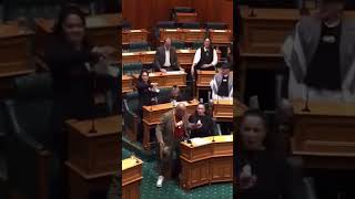 6 MNAs Wonderful Protest Against Bill Parliament Secession New Zealand subscribe shorts ForYou [upl. by Nirek]