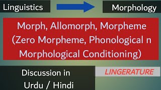 Morph  Allomorph  Morpheme  Zero Morpheme  phonological n Morphological Conditioning [upl. by Alvina931]