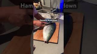 Mastering Hamachi in 5 Minutes The Ultimate Guide [upl. by Aridaj]