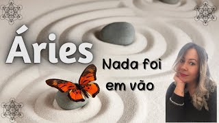 ÁRIES ♈️🌺RECADO IMPORTANTE🌺Nada foi em vão 🙌🏼🙏🏼❤️ [upl. by Rebmak]