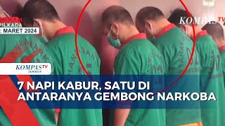 7 Napi Kabur Satu Di Antaranya Gembong Narkoba [upl. by Armitage184]