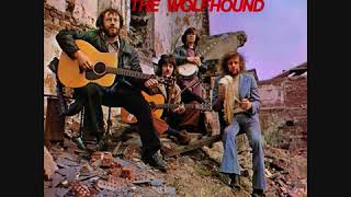 The Wolfhound Ray McAreavey  Freedom Sons  Full Album  Irish Rebel [upl. by Bubb669]