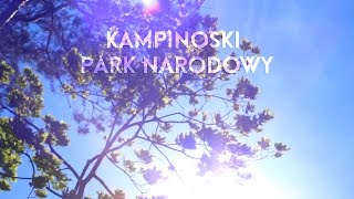 Kampinoski Park Narodowy  Serce Mazowsza [upl. by Truelove]