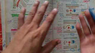 How to memorize relations of Axillary Artery Enemonics to remember relations of Axillary Artery [upl. by Kara-Lynn]