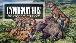 Prehistoric Beasts  Cynognathus [upl. by Grady829]