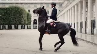 Hermès  Un cheval dans la ville Commercial 2017 [upl. by Neelya]