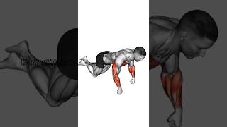 Kneeling First Pushup  Workout Video pushups workout chest shorts [upl. by Nnylrahc]