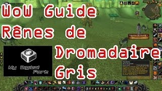 WoW Guide  Rênes de dromadaire gris [upl. by Anneres]