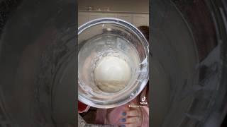 Sourdough Starter Day 3 [upl. by Rakel]