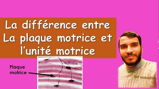 svt 3ac  la différence entre la plaque motrice et lunité motrice [upl. by Cece261]