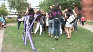 Panhellenic Bid Day 2010 [upl. by Aytnahs493]