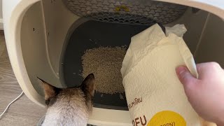 My cat and I are loving this unscented and plantbased litter FUKUMARU Tofu Cat Litter Review [upl. by Dowling]