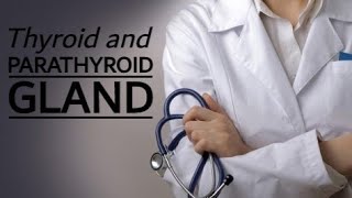 Physiology 707Endocrine3Thyroid amp Parathyroid glandsMedical [upl. by Ahmar]