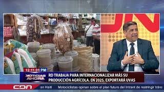 RD trabaja para internacionalizar más su producción agrícola En 2025 exportara uvas [upl. by Cinda]