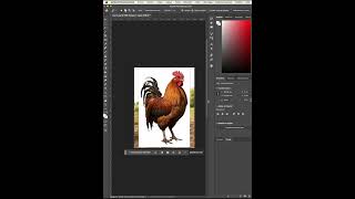 TETOURAGE IMAGE COMMENT SUPPRIMER LE FOND DUNE IMAGE photoshoptutorial [upl. by Dnalhsa408]