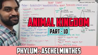 Animal kingdom  Part 10  Phylum  Aschelminthes [upl. by Sido665]