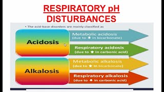 Respiratory Acidosis and Alkalosis  Respiratory pH Disturbances [upl. by Rothberg]