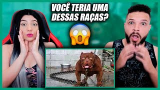 As 10 Raças De Cachorros Mais Perigosas Do Mundo  Refúgio Mental REACT [upl. by Imuya]