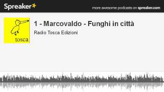 1  Marcovaldo  Funghi in città creato con Spreaker [upl. by Stockton74]