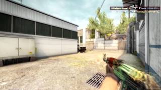 FACEIT December Championship 2013 dennis vs fnatic [upl. by Hannahoj]