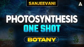 PHOTOSYNTHESIS CLASS 11 ONE SHOT  NEET 2024  ALL CONCEPT AND TRICKS  BOTANY BY SANKALP BHARAT [upl. by Lambrecht]