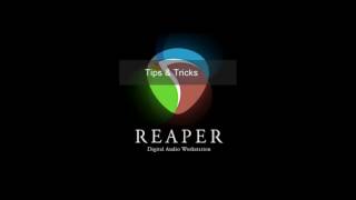 Reaper DAW Play from Mouse Pointer [upl. by Iidnarb114]