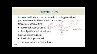 Chapter 4  Market Failures Public Goods and Externalities [upl. by Dahsra]