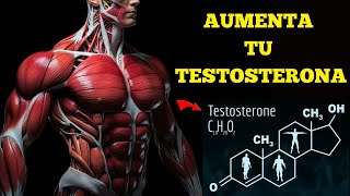 MAXIMIZA tu testosterona de forma natural 💪 Consejos comprobados para aumentar las hormonas [upl. by Brandea]