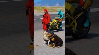 Dogs teach us love in its purest form  GTA V  shorts 4 [upl. by Nohsid]