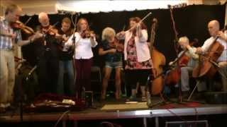 Harlequin AirShropshire Lass English String Band Sidmouth FolkWeek 2013 [upl. by Jedediah]