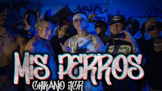 Chikano Jcr  MIS PERROS Video official birdsmusic slgmusic [upl. by Yrreg]