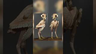 Strange facts about owls [upl. by Flannery101]