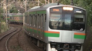 HD 東海道本線のレア車 湘南色のE217系近郊形電車 The train of green tea and orange colour [upl. by Mallina]