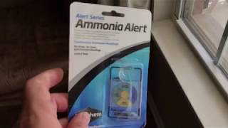 ammonia in saltwater fish tank test ammonia alert badge by seachem [upl. by Aikenat]