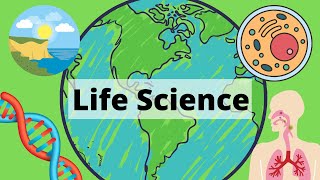 A Year of Life Science in 3 Minutes [upl. by Donelle]