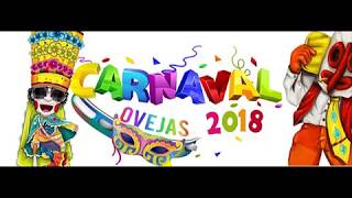 Carnaval de Ovejas 2018 Desfile Infantil [upl. by Pavlish]