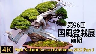 【盆栽】第96回 国風盆栽展 前期【Bonsai】The 96th Kokufu Bonsai Exhibition 2022 Part 1 [upl. by Elmira740]