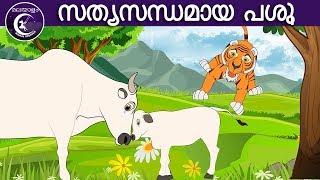 സത്യസന്ധമായ പശു  Malayalam Fairy tales  malayalam moral stories for kids [upl. by Kareem]