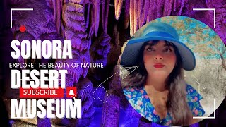 quotArizonaSonora Desert Museum A MustVisit Destinationquottucsonarizona desert wildlife vlog usa [upl. by Yesllek]