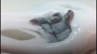 Mixing Kneaded Eraser with Slime [upl. by Siramaj]