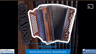 Musikschule WettenbergHarmonikaschuleMichlbauer Novak Sonorum Ideal für Einsteiger [upl. by Nybbor667]