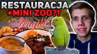 NIESAMOWITA RESTAURACJA Z MINI ZOO  MAGILLO W KRAKOWIE [upl. by Eleirbag]