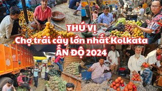 THÚ VỊ Ấn Độ 2024 Đi CHỢ TRÁI CÂY LỚN NHẤT cố đô Kolkata  KHỦNG KHIẾP Trời NÓNG NHƯ THIÊU [upl. by Towny]