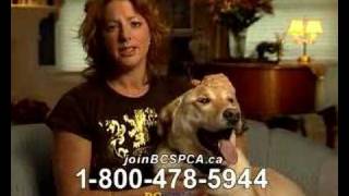 Sarah McLachlan Animal Cruelty Video [upl. by Calvin572]