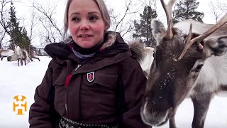 My Day with a Sami Reindeer Herder  Norway Nomad Stories  World Nomads [upl. by Ecylla]