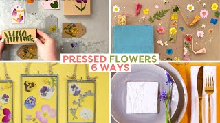 6 Ways to Use Pressed Flowers  How to Press Flowers [upl. by Airekahs21]