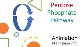 Pentose phosphate pathway mnemonics  tricks to remember pentose phosphate pathway [upl. by Neenej]