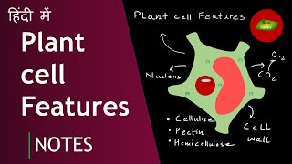 Plant cell characteristics in Hindi  Plant Cell  Botany  Cell Biology  Basic Science Series [upl. by Anaes617]