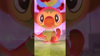 Dynamax Grookey is cute 😍  Dynamax pokemon go anime gaming [upl. by Urbano68]